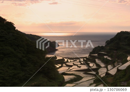 棚田の夕陽 130786069