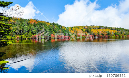 秋の白駒池 130786531