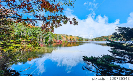 秋の白駒池 130786548