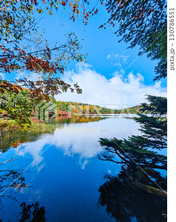 秋の白駒池 130786551