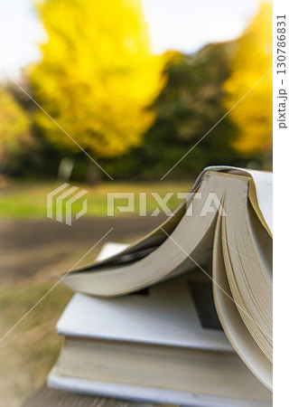 銀杏が黄葉する秋の公園で読書をイメージした写真 銀杏が黄葉する秋の公園で読書をイメージした写真 130786831