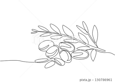 Single continuous line drawing Argania seeds with leaves. Seeds that can be processed for beauty and health. Therapy and treatment. International Day of Argania. One line design vector illustration 130786961