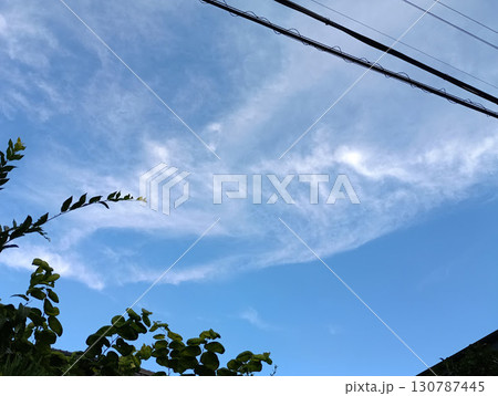 空へ伸びる願い 130787445