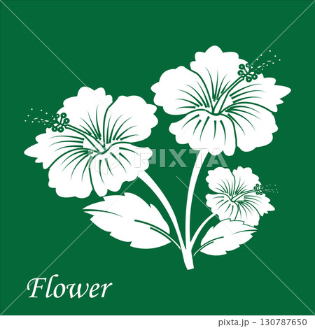 blooming flowers with leaves 130787650