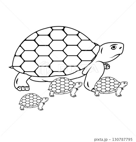 turtle illustration icon 130787795