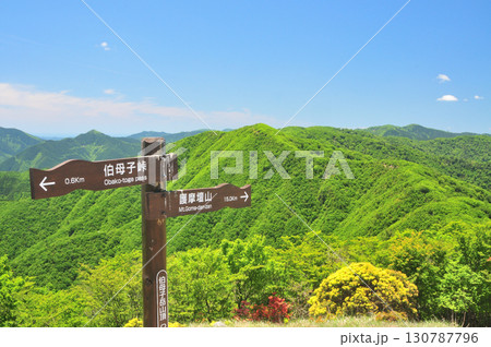 伯母子岳(山頂・道標) 【奈良県野迫川村・十津川村】 伯母子岳(山頂・道標) 【奈良県野迫川村・十津川村】 130787796