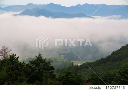 展望台から熊野本宮大社(旧社地・大斎原)を望む 展望台から熊野本宮大社(旧社地・大斎原)を望む 130787846