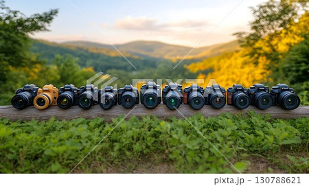 Ten DSLRs on Rustic Log Autumnal Landscape Ten DSLRs on Rustic Log Autumnal Landscape 130788621