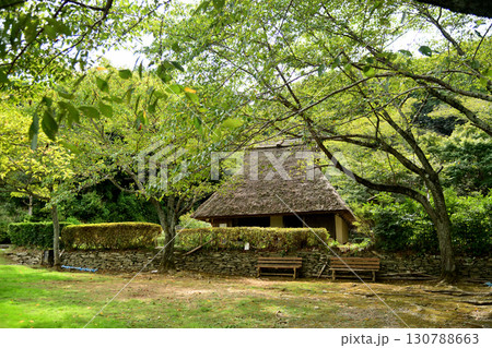 紀伊風土記の丘(旧小早川家住宅)　【和歌山県和歌山市】 130788663