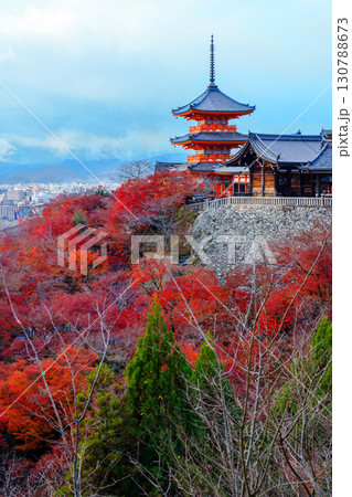 清水寺の紅葉と三重塔 清水寺の紅葉と三重塔 130788673