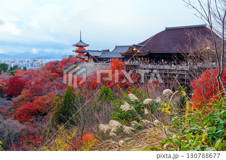 清水寺の紅葉と三重塔 清水寺の紅葉と三重塔 130788677