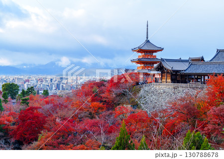 清水寺の紅葉と三重塔 清水寺の紅葉と三重塔 130788678