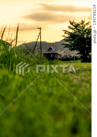 夕日に染まる草木 130789219