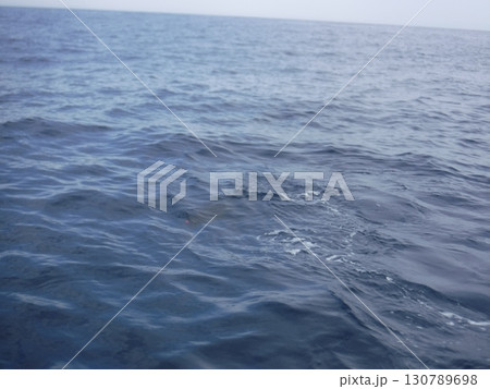 沖合でヒットしたマグロと釣り上げの瞬間 130789698