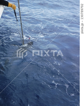 沖合でヒットしたマグロと釣り上げの瞬間 沖合でヒットしたマグロと釣り上げの瞬間 130789702