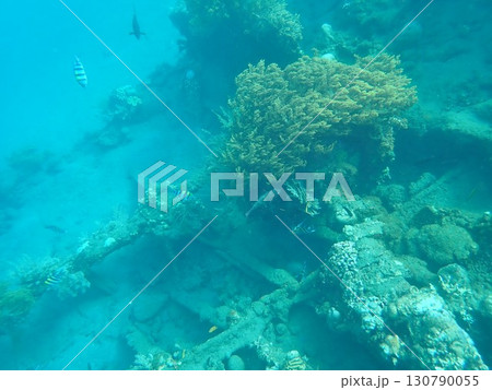 インドネシア バリ島 アメッドの沈没船 インドネシア バリ島 アメッドの沈没船 130790055