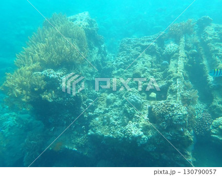 インドネシア バリ島 アメッドの沈没船 インドネシア バリ島 アメッドの沈没船 130790057