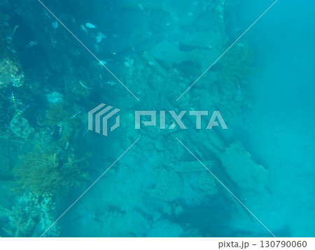 インドネシア バリ島 アメッドの沈没船 インドネシア バリ島 アメッドの沈没船 130790060
