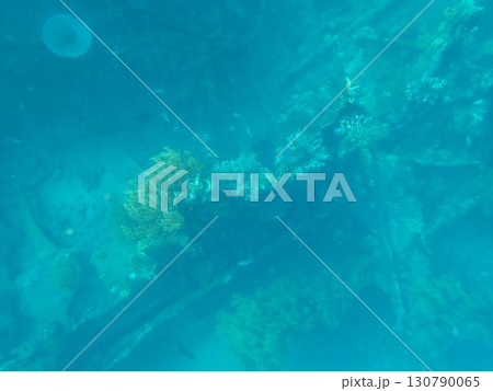 インドネシア　バリ島　アメッドの沈没船 130790065