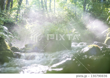 森の清流に光芒が差し込む風景　大山木谷沢渓流 130790836