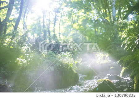 森の清流に光芒が差し込む風景　大山木谷沢渓流 130790838