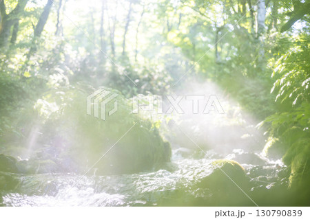 森の清流に光芒が差し込む風景　大山木谷沢渓流 130790839