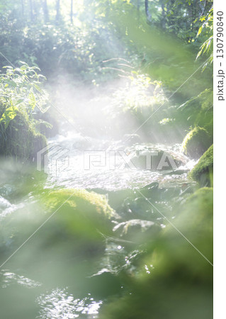森の清流に光芒が差し込む風景　大山木谷沢渓流 130790840