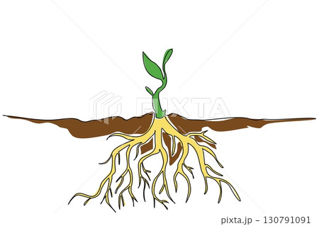 Single continuous line drawing plant shoots with thick roots underground. Strong plant candidates support life on earth. Eco. International Day of Plant Health. One line design vector illustration 130791091