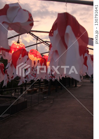 『白壁の町並み 金魚ちょうちん』 山口県柳井市観光 『白壁の町並み 金魚ちょうちん』 山口県柳井市観光 130791641