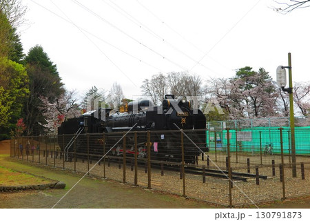 さくらで満開の公園の春の風景6 さくらで満開の公園の春の風景6 130791873