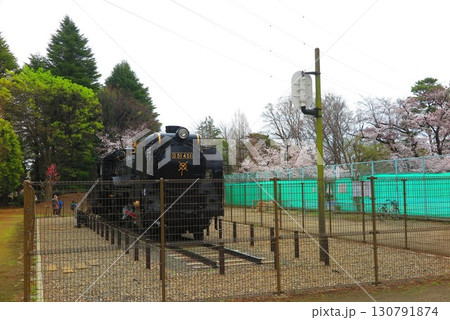 さくらで満開の公園の春の風景7 さくらで満開の公園の春の風景7 130791874