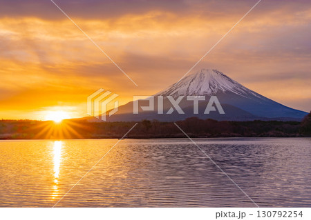 【山梨県】日本の夜明け、黄金色に染まる空と富士山 【山梨県】日本の夜明け、黄金色に染まる空と富士山 130792254