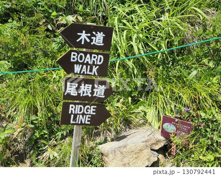 長野県　八方尾根　木道と尾根道の案内板　8月 130792441