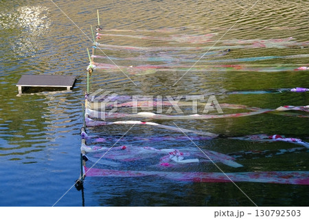 夏の鴨川の京友禅流し 夏の鴨川の京友禅流し 130792503