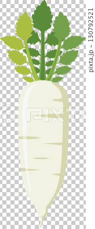 シンプルで可愛いザルにのった大根のイラスト シンプルで可愛いザルにのった大根のイラスト 130792521