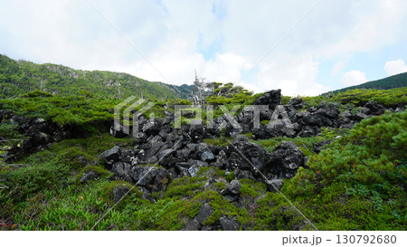 北八ヶ岳 坪庭 北八ヶ岳 坪庭 130792680