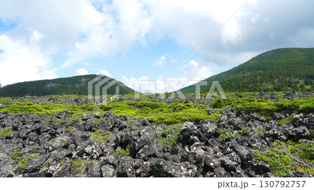 北八ヶ岳 坪庭 北八ヶ岳 坪庭 130792757
