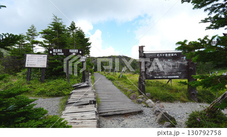 北八ヶ岳 坪庭 130792758