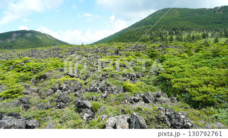 北八ヶ岳 坪庭 130792761