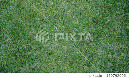 Green grass background, top view background of garden bright grass concept used for making green backdrop. Green grass background, top view background of garden bright grass concept used for making green backdrop. 130792906