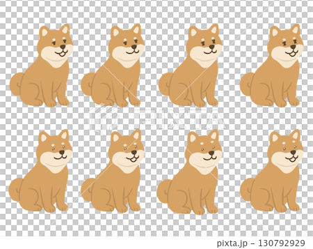 Cute shiba inu illustration set 130792929
