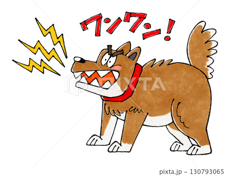 吠える犬 ワンワンの文字 吠える犬 ワンワンの文字 130793065