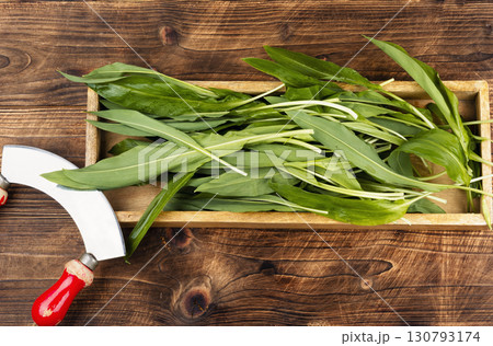A bunch of wild leeks. 130793174