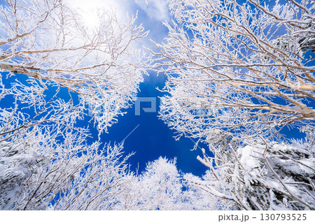 【霧氷素材】白と青の世界・霧氷と青空【長野県】 130793525