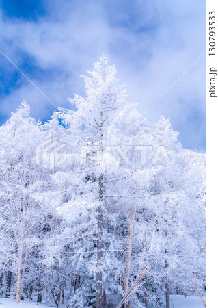【霧氷素材】白と青の世界・霧氷と青空【長野県】 130793533