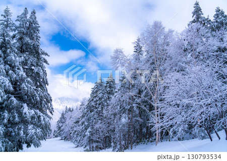 【霧氷素材】白と青の世界・霧氷と青空【長野県】 130793534