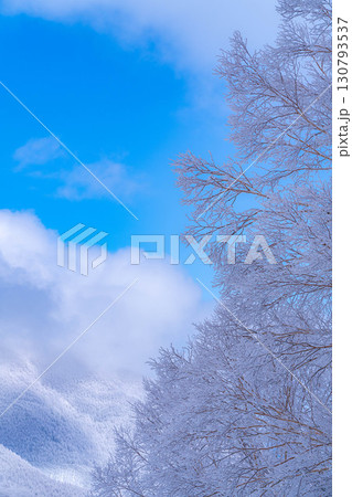【霧氷素材】白と青の世界・霧氷と青空【長野県】 130793537