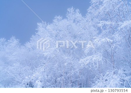 【霧氷素材】乗鞍高原の霧氷【長野県】 130793554