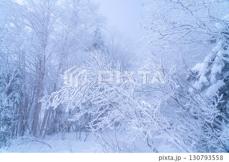 【霧氷素材】乗鞍高原の霧氷【長野県】 130793558