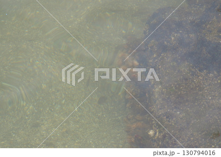 岩礁の近くを泳ぐ小魚の群れ 130794016